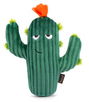 play kaktus